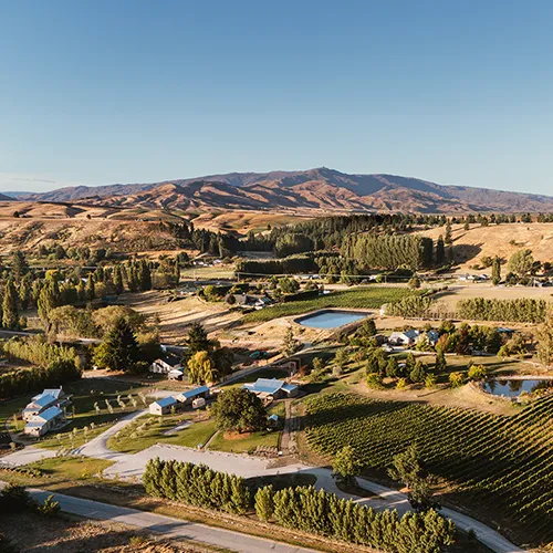 Drone shot of alexandra looking over the valley